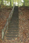 Woods everywhere... except for these steps